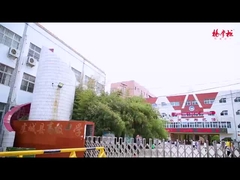 Die Berge von Nudeln mit Gemüse und mariniertem Ei sind super lecker und süchtig machen!